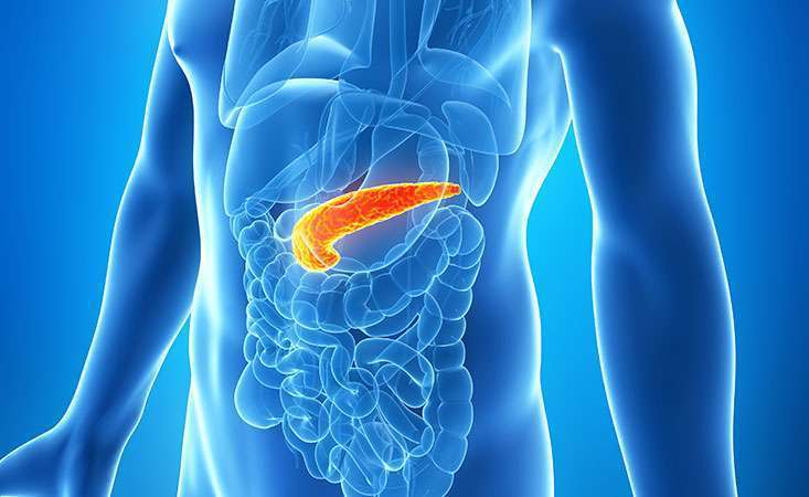 Pancreatic Cancer